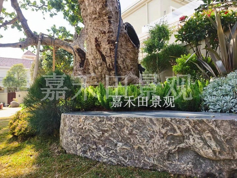 樹(shù)木在園林景觀設(shè)計(jì)中有哪些作用？
