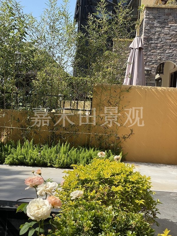 別墅花園的養護技巧包括哪些方面？